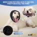 Comfpet Soothing Ear Protection for Dogs & Cats | XL Black Winter Hat for Earmematomas & Ear Care - Buy Online on GoSupps.com