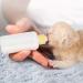 Durable 60ml Pet Milk Bottle for Puppies & Kittens | Breeding Bottle with Nipple Brush Set - Yellow - Buy Online on GoSupps.com