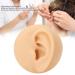 Soft Silicone Left Ear Simulation Model for Medical Teaching - Ideal for Hearing Aid Display - Buy Online on GoSupps.com
