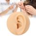 Human Ear Model Left Ear Soft Lifelike Fake Ear Model for Teaching Demonstration - Buy Online on GoSupps.com