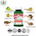 Apollo Ayurveda Imuty Plus Support Immune System Dietary Herbal Supplement Equivalent 5000 mg Giloy Ashwagandha Mulethi Ayurvedic Vegan 60 Capsule - Buy Online on GoSupps.com