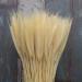 25pcs Colorful Natural Dried Flowers Bouquet Wheat Plants Bunches New Year Craft Wedding Chrismas Decor Decoration Beige 25pcs - Buy Online on GoSupps.com