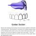 KOHEEL MGM Braces for Crooked Teeth & Overbite - International Shipping Available - Buy Online on GoSupps.com