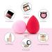 AJOKE 10 Pcs Makeup Sponge Set Blender - Flawless Beauty Sponges for Liquid Makeup - Buy Online on GoSupps.com