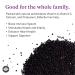 Dried Organic Elderberry - 1lb Bulk for Tea, Syrup, Popsicles & Gummies | Birds & Bees Teas - Buy Online on GoSupps.com
