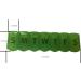 Buy Apex 7-Day Ultra Bubble-Lok XL Pill Organizer in Kelly Green - Translucent Design for Easy Medication Management | International Shipping Available - Buy Online on GoSupps.com