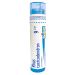 Rhus Toxicodendron 9CH Boiron Homeopathic Medicine