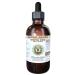 White Pine Alcohol-Free Liquid Extract White Pine (Pinus Strobus) Dried Bark Glycerite Natural Herbal Supplement Hawaii Pharm USA 2 fl.oz 2 Fl Oz (Pack of 1)