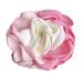 Sweet Rose Flower Hair Claws Set - 2PCS Pink & Pink Blue | Women's Hair Accessories - Buy Online on GoSupps.com