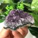Natural Amethyst Cluster Quartz Crystal geode Specimen Crystal Natural Luster - Buy Online on GoSupps.com