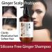  HADAVAKA Ginger Shampoo Moisturising And Nourishing Shampoo Deep Cleansing Hair Shampoo For Men And Women Ginger Strengthening Hairroots Fluffy Smooth Shampoo For All Hairtypes 500ML - Buy Online on GoSupps.com