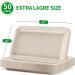 Bloomoon 50 Pack 14 Inch Heavy-Duty Disposable Food Trays - Compostable Paper Platter Plates for Crawfish, Lobster, Crab, BBQ - Extra Large Serving at Party - Buy Online on GoSupps.com