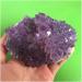 Health & Household Natural Amethyst Cluster Quartz Crystal Druse Specimen Stone Mineral Specimen - Buy Online on GoSupps.com