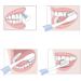 Soft Toothbrush for Sensitive Teeth & Gums - Ultra Fine Bristles - 5 Pack | International Shipping Available - Buy Online on GoSupps.com