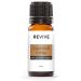 Copaiba & Coffee Essential Oil Blend by Revive Essential Oils - 100% Pure Therapeutic Grade for Diffuser Humidifier Massage Aromatherapy Skin & Hair Care
