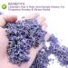 Buy 100% Pure Natural Dried Lavender Tea - Premium Lavender Buds 50g for Baking & Baths - Buy Online on GoSupps.com