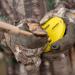 Hunters Specialties HS Strut Cookie Cutt'R Tracer Turkey Slate Pot Call - Yellow - Buy Online on GoSupps.com