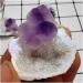 Natural Crystal Rough for 30MM Natural Agate geode Quartz Crystal Aura Crystals Stone and CrystalsQuartz Amethyst Cluster Home Decor Gift ERTEYIN - Buy Online on GoSupps.com