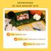 SO-CNITC Beginner Crochet Kit - Crochet Animal & Knitting Starter Kit with Instruction & Video Tutorials - Includes Yarn, Hook, Needle & Accessories - Perfect for DIY Fox Lovers - Buy Online on GoSupps.com