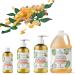 Organic Olive Oil Castile Liquid Soap Refill 1 Gallon | Frankincense Myrrh | Vegan & Gluten Free | Non-GMO | Face, Body, Dishes, Pets & Laundry - Buy Online on GoSupps.com