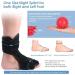 Plantar Fasciitis Splints & Ankle Foot Orthotic Brace - Pain Relief for Foot Drop Ankle Sprain & Achilles Tendinitis | Unisex Black - Buy Online on GoSupps.com