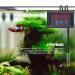 Icstation Digital Thermometer Car Auto Temperature Gauge Sensor DC 4-28V Fahrenheit Dual Display Monitor with 2 NTC Waterproof Probes - Buy Online on GoSupps.com