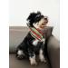 Shop Lionet Paws Christmas Dog Bandana - Triangle Scarf for All Dog Sizes | Festive Headscarves for Small Medium & Large Dogs - Buy Online on GoSupps.com