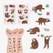 Sloth Temporary Tattoos - 24 Sheets | Birthday Decorations & Party Favors - Buy Online on GoSupps.com
