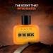 Bloom Beauty Villain On The Rocks Eau de Parfum for Men | Woody & Citrus Long Lasting Fragrance - 100ml - Buy Online on GoSupps.com