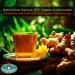 Organic Ginger Turmeric Tea 250g | Ayurvedic Vitality | Refreshing & Revitalizing | Peppermintman - Buy Online on GoSupps.com