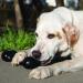 KONG Extreme Goodie Bone for Large Power Chewers - Durable Rubber Dog Bone in Black - Buy Online on GoSupps.com