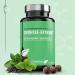 Dr. Fleckenstein Green Tea Extract - Highly Concentrated EGCG & Piperine Dietary Supplement Decaffeinated with Optimal Bioavailability | International Shipping - Buy Online on GoSupps.com
