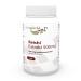Vita World Reishi Extract 500mg 100 Vegetarian Capsules with Certificate of Analysis Made in Germany
