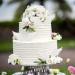 Hpory Cake Topper 60 Pcs Edible White Wings Cupcake Toppers Glutinous Rice Paper Happy Birthday Cake Toppers Angel Wings Cake Decorations for Birthday Wedding Celebration Party - Buy Online on GoSupps.com
