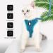 Heywean Cat Harness and Leash - Escape Proof Kitten Walking Jacket in Turquoise - Buy Online on GoSupps.com