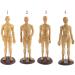 YIJU Human Acupuncture and Moxibustion Female Male Model Figurine Teaching Toys - 50CM Male Soft - Buy Online on GoSupps.com