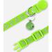 Taglory Reflective Cat Collar with Safety Clasp & Bell - 2-Pack Adjustable Collars (15-20cm) for Cats & Kittens - Green - Buy Online on GoSupps.com