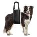 Dog Hip Joint Lifting Assist with Autumn and Winter Black Adjustable Handle Length Suitable for Elderly Disabled Dogs for Assisted Rehabilitation Use Black M