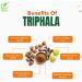 Triphala (Amalaki Haritaki Bibhitaki) Capsules Pack of 4 x 60 x 500 mg. Veg. Pure and Herbal Capsules (Pack of 4) 60 Count (Pack of 4) - Buy Online on GoSupps.com