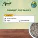 Koalakoi ORGANIC Pot Barley (4.5kg) Premium non-GMO Barley | High Fibre Content | Great For Blood Sugar Regulation and Weight Management (4.5kg) - Buy Online on GoSupps.com