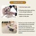 Valfrid Anti-Slip Paw Protection for Dogs - 48 Self-Adhesive Silicone Gel Pads Non-Slip Traction Dog Shoes Multicolor Size S (0-5kg) - Buy Online on GoSupps.com