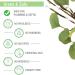 Just a Drop Toilet Odour Remover Eucalyptus 6 ml (Pack of 3 Total 18 ml) - Before You Go Toilet Odor! Perfect for On-the-Go Travel and Pocket Size Just One Drop bathroom odor eliminator. Eucalyptus 18 ml (Pack of 1) - Buy Online on GoSupps.com