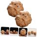 Buy Toyvian Handcrafted Torn Baoding Balls - Chinese Meditation & Health Balls for Wellness & Fitness | Perfect Gift - Buy Online on GoSupps.com