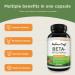 Beta-Sitosterol Supplement for Prostate Health & Hair Growth - Natures Craft - 30 Capsules - Buy Online on GoSupps.com