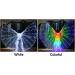 LED Isis Wings Glow Costume | Large Belly Dance Wings with Sticks | Carnival Halloween Performance Clothing (White) - Buy Online on GoSupps.com