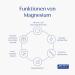 Pure Encapsulations Magnesium Citrate 90 Vegan Capsules - Premium Vegan Supplement for Optimal Health - Buy Online on GoSupps.com