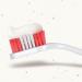 Beaphar Double-Ended Toothbrush for Dogs & Cats | Dental Care Tool for Hard-to-Reach Areas | Prevents Bad Breath & Plaque | Suitable for all Mouth Sizes - Buy Online on GoSupps.com