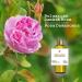 100% Pure Bulgarian Rose Water 6.76 oz | Organic Rosa Damascena Toner & Moisturizer Alcohol & Additives Free Skin & Hair Care - Buy Online on GoSupps.com