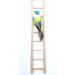 Wooden Climbing Ladder Toy for Parakeets, Parrots, Cockatoo - 2pcs, 6 Step & 8 Step - Buy Online on GoSupps.com