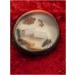 Buy Coconut Shell Candle - Scented Soy Essential Oil Eco-Friendly Wood Wick Natural Coconut Scent - International Shipping - Buy Online on GoSupps.com